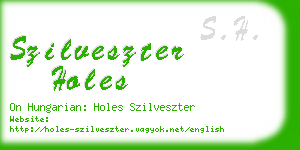 szilveszter holes business card